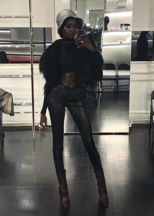 Anok Yai as seen while clicking a mirror selfie in February 2019