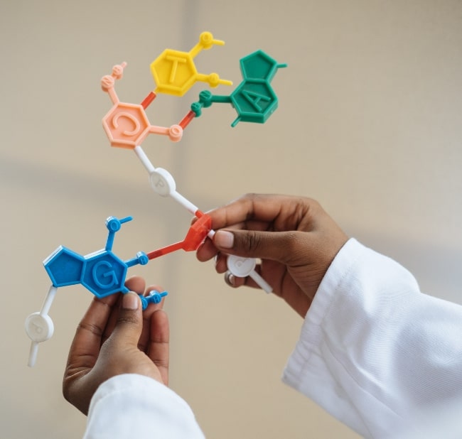 BPC-157: Not Only A Healing Peptide