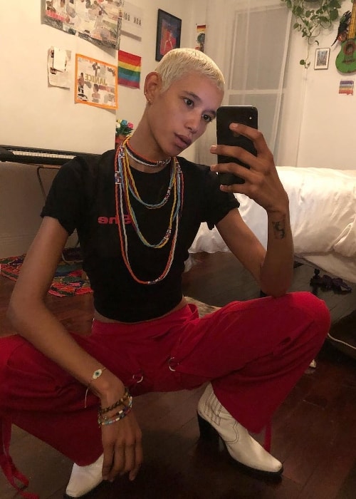 Dilone in a mirror selfie in October 2018