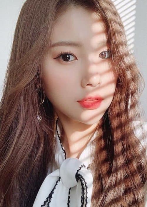 Kang Hyewon in an Instagram selfie as seen in January 2019