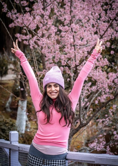 Shenaz Treasury in Shillong, Meghalaya