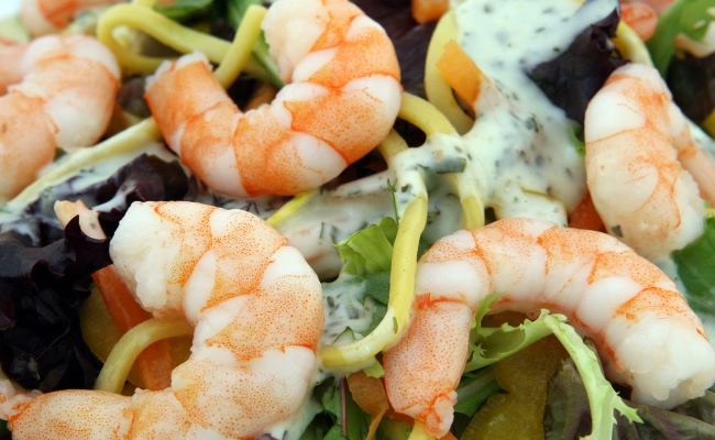 Shrimp